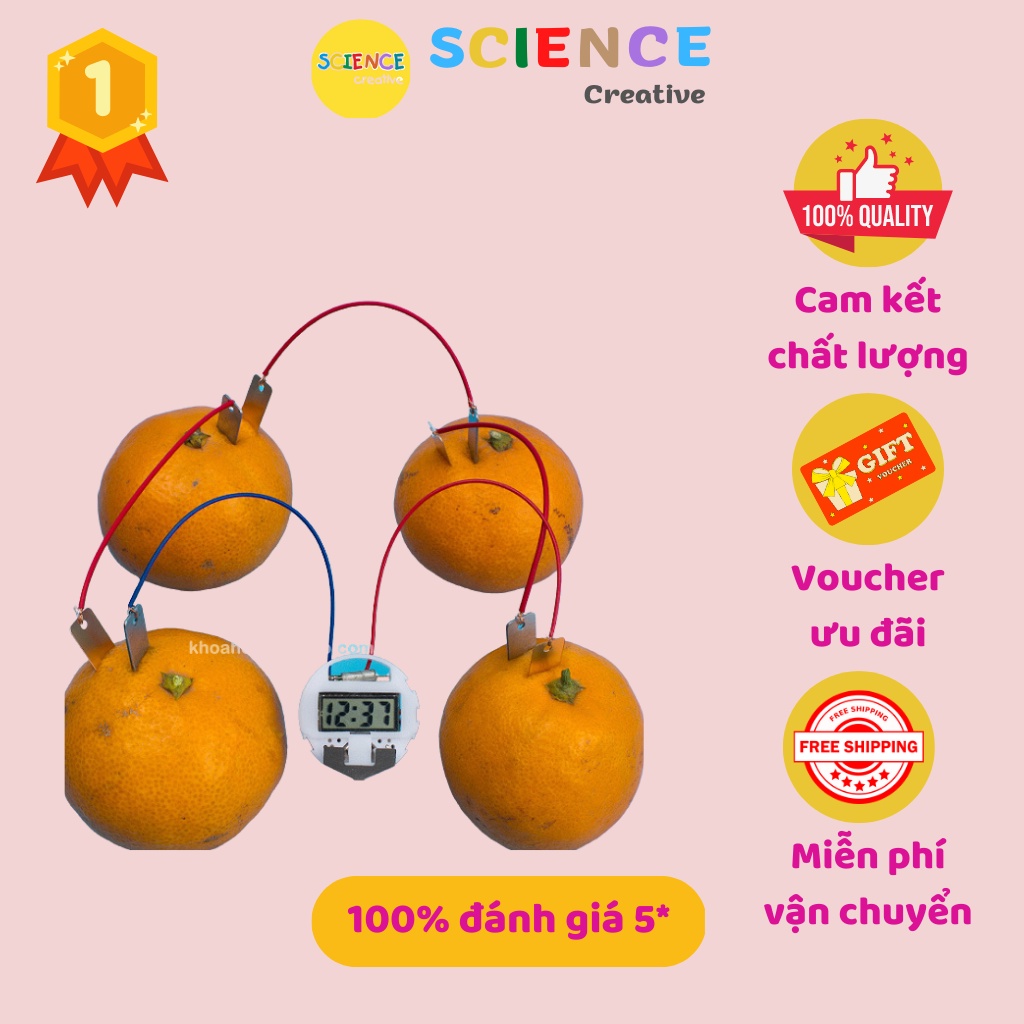 Đồ chơi khoa học giáo dục STEM cho bé, Bộ Thí nghiệm đồng hồ lấy điện từ trái cây giúp các bé phát triển trí thông minh