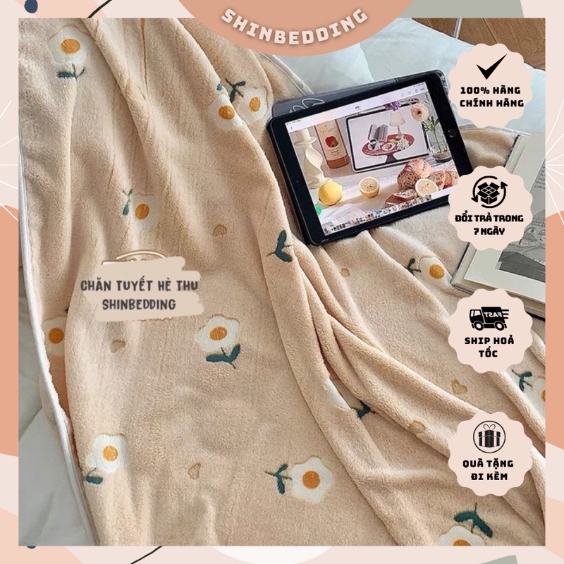 Chăn Tuyết Hè Thu Xinh Xắn ( shinbedding)