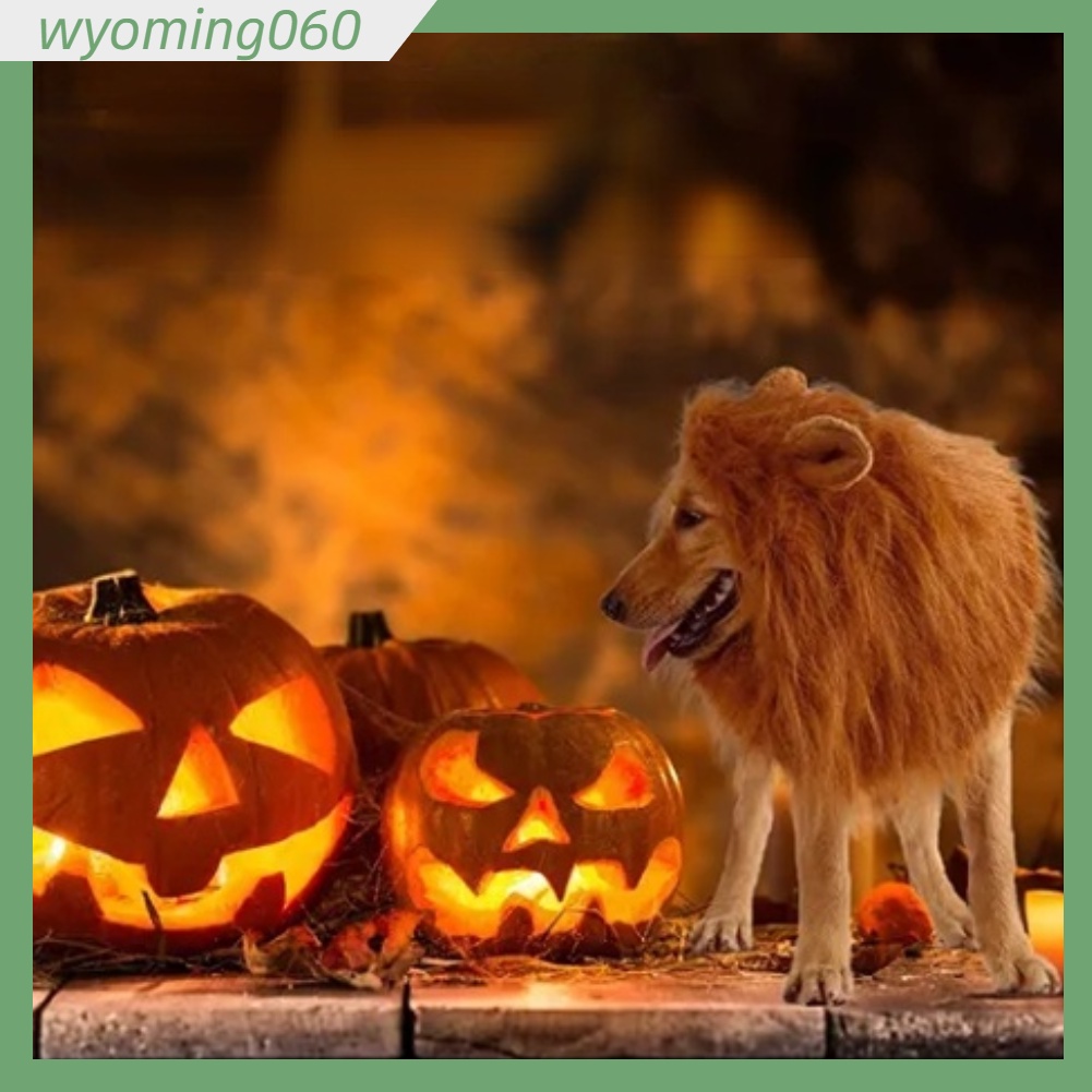 Chó Bờm Sư Tử Trang Phục Khéo Léo Có Thể Điều Chỉnh Thú Cưng Đầu Đuôi Cho Halloween Giáng Sinh 【Wyoming060】