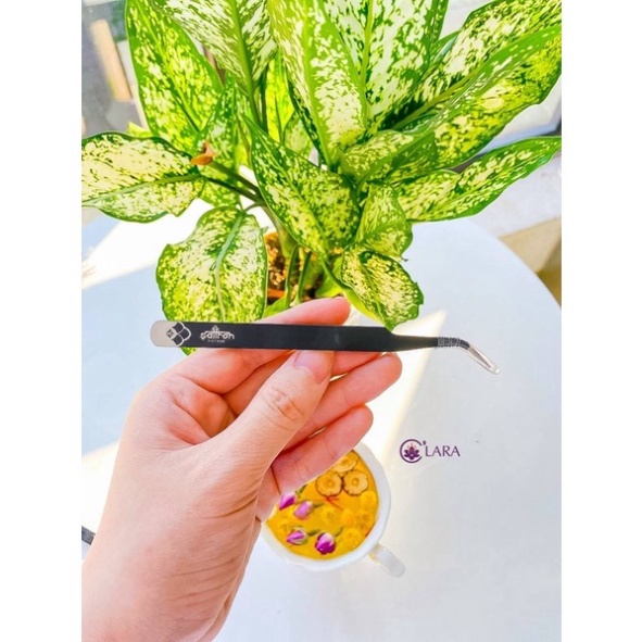 Nhíp gắp logo Saffron Việt Nam