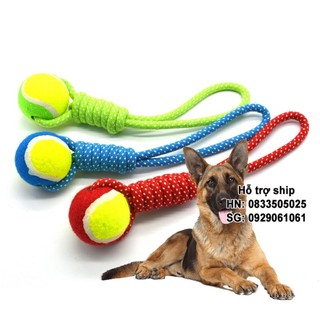 Đồ chơi chó mèo bóng tennis kèm dây thừng tập giằng