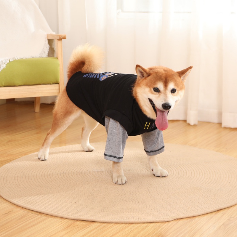 Bộ ÁO Thun NgắN Tay + Yên HậU Cho Thú Cưng - Size 2XL-9XL