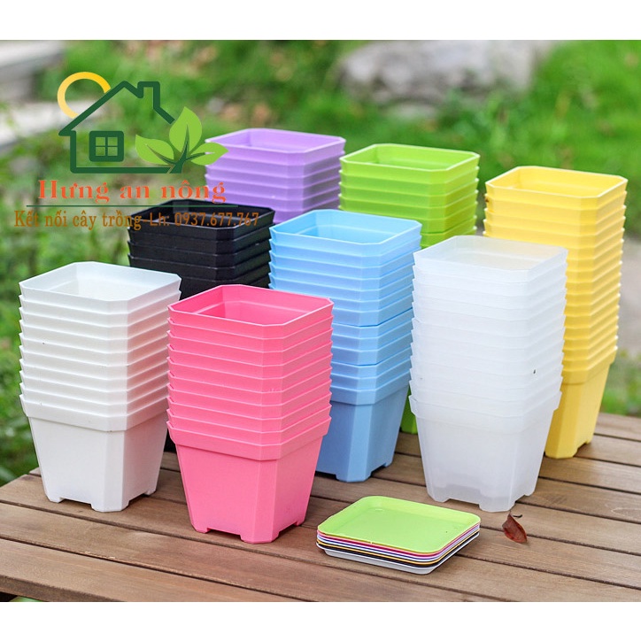 CV10DB - Sét 10 chậu nhựa dầy chất liệu PP trồng sen đá xương rồng bonsai