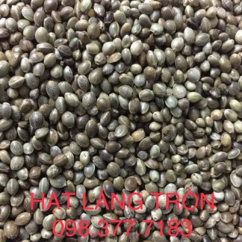 Hạt láng tròn size lớn gói 500g