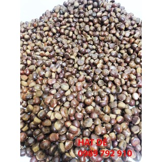 HẠT DẺ TƯƠI SỐNG