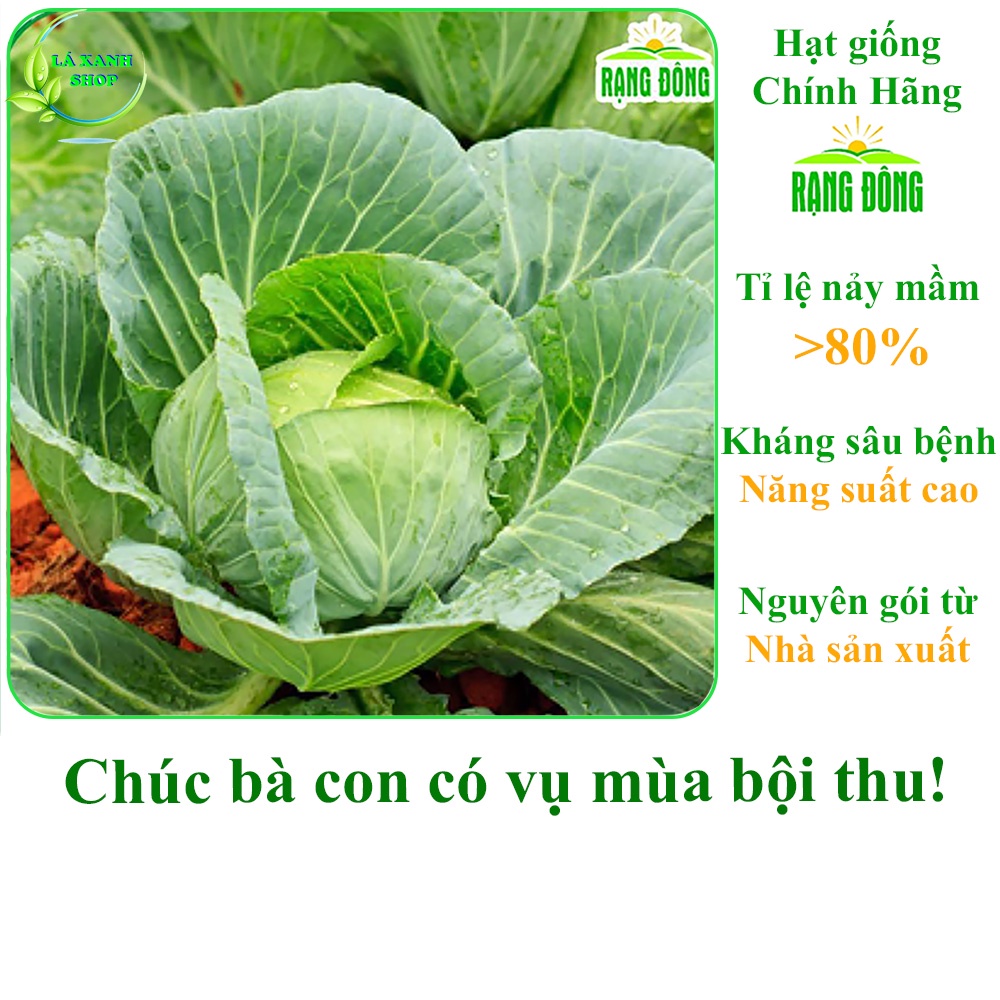 Hạt Giống Bắp Cải Xanh Lai F1 Chịu Nhiệt Tốt, Năng Suất Cao (gói 0,5 gram) - Hạt giống Rạng Đông