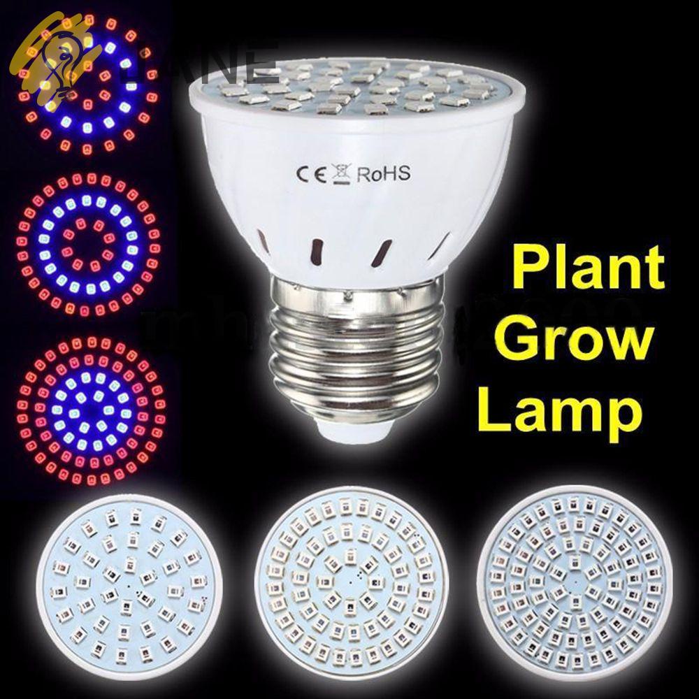 Đèn Led E27 / GU10 / MR16 36 / 54 / 72 Bóng Chuyên Dụng Cho Bể Cá