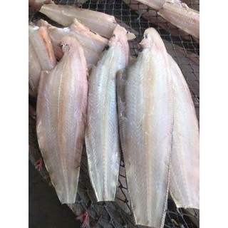 Khô Cá Lưỡi Trâu. 500g
