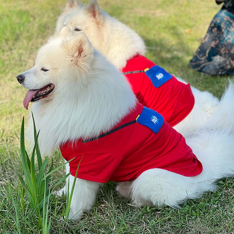 Áo Xuân Hè Phong Cách Samoyed Màu Vàng Đồng Hình Chó Shiba Inu Husky Cỡ Vừa Và Lớn Chống Mất Công Chúa Cho Cún Cưng