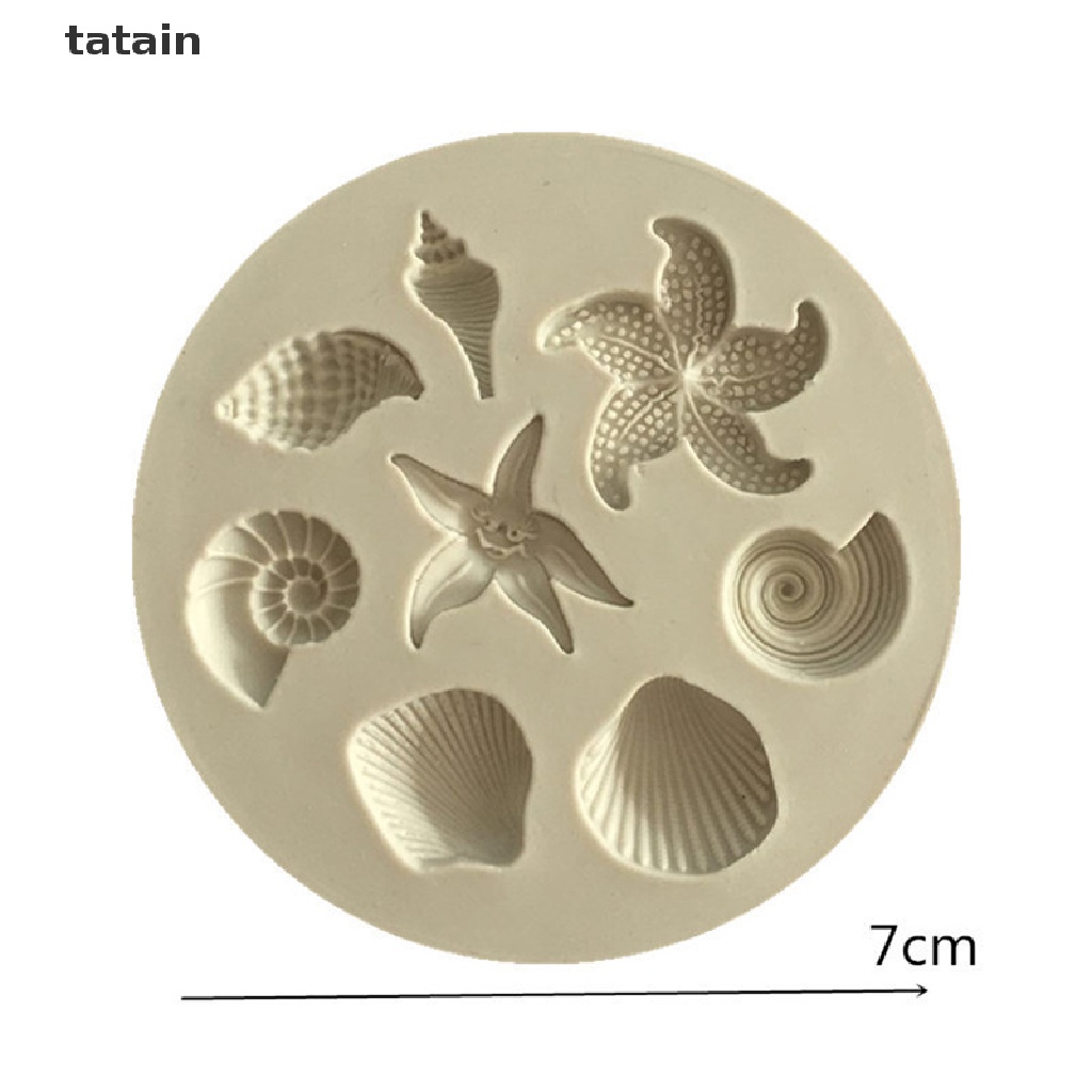 Khuôn Silicone Làm Bánh Hình Vỏ Sò Sinh Học [TAT]  Áo Thun In Chữ Cvxx Cvxx Cá Tính Hợp Thời Trang