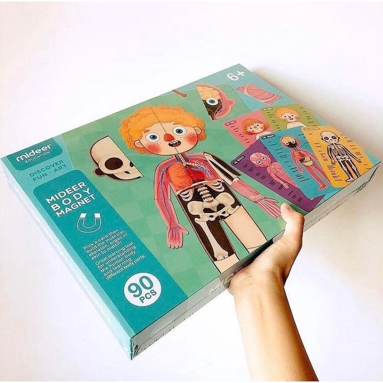 Đồ Chơi Xếp Hình Nam Châm Cơ Thể Mideer Human Body Magnetic Puzzle đồ chơi hướng nghiệp cho bé