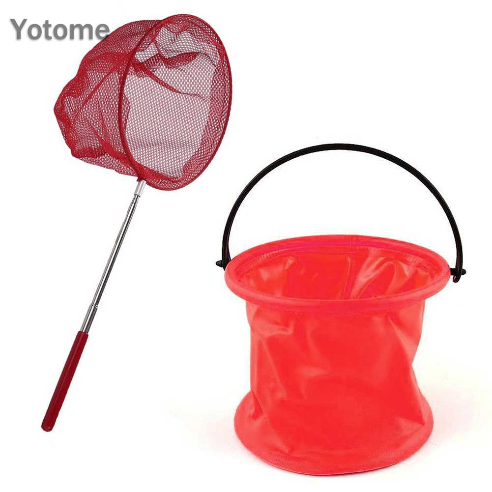 Vợt Lưới Bắt Bướm, Côn Trùng Cho Trẻ