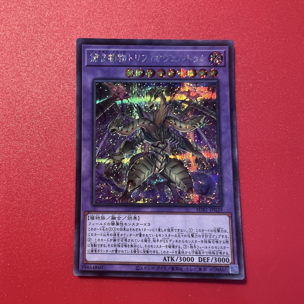 Predaplant Triphyoverutum