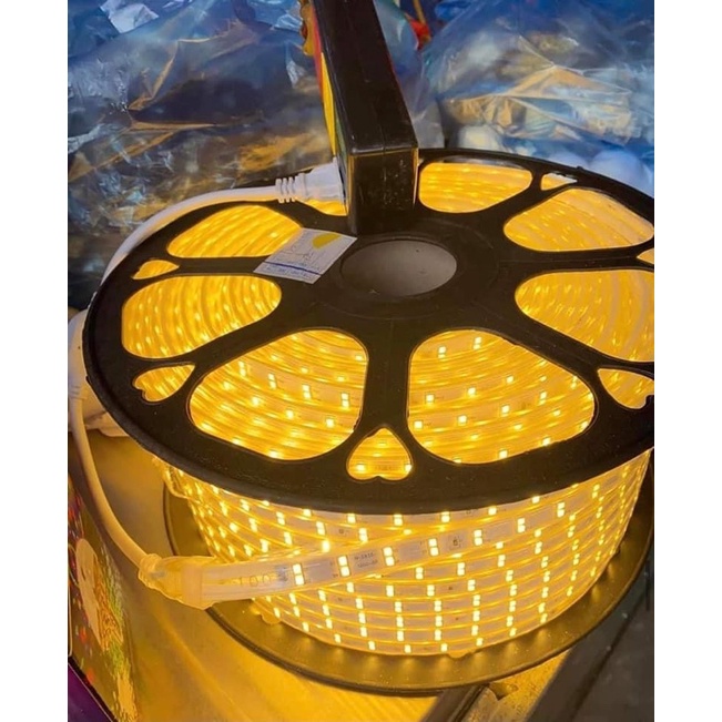 Dây Led 2 hàng bóng 2835 1 màu 1 cuộn 100m dán hắt trần thạch cao, trang trí cây.. ánh sáng vàng nắng, xanh lá…