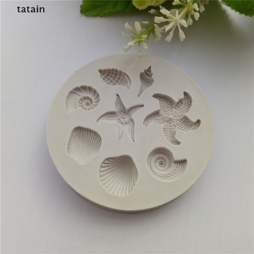 Khuôn Silicone Làm Bánh Hình Vỏ Sò Sinh Học [TAT]  Áo Thun In Chữ Cvxx Cvxx Cá Tính Hợp Thời Trang