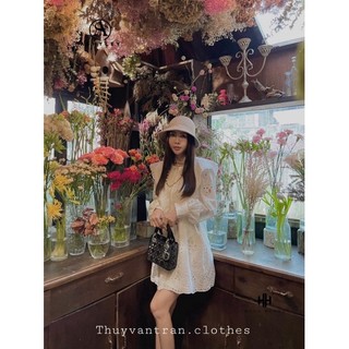 Váy Sơmi Cổ Ren Thuyvantran Ashley