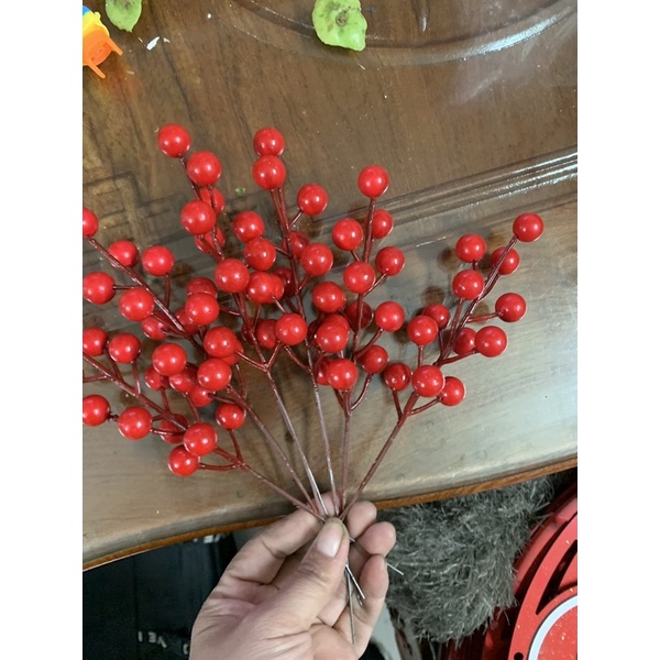 Nhánh đào đông nhỏ
