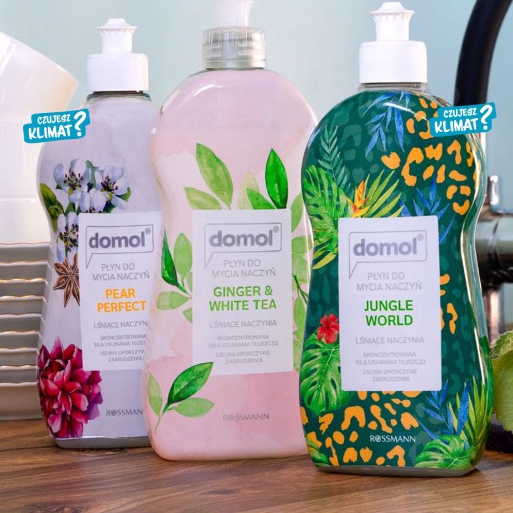 Nước rửa chén bát Domol Ginger &amp; White Tea, Hàng Đức