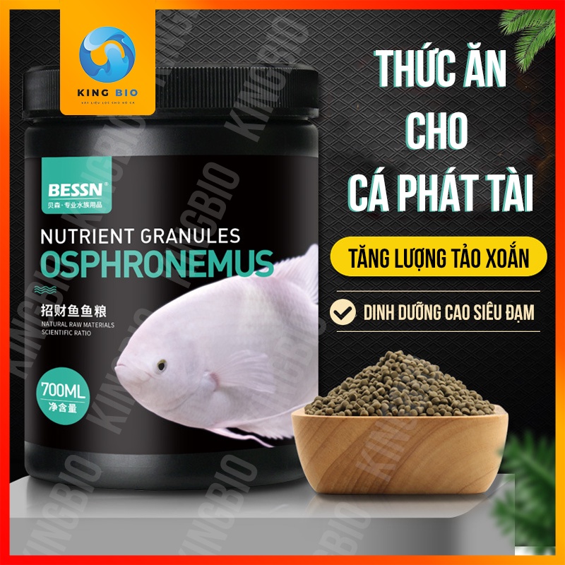 Cám Bessn Osphronemus thức ăn giàu đạm và tảo xoắn cho cá phát tài