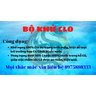 Bình khử clo hồ cá