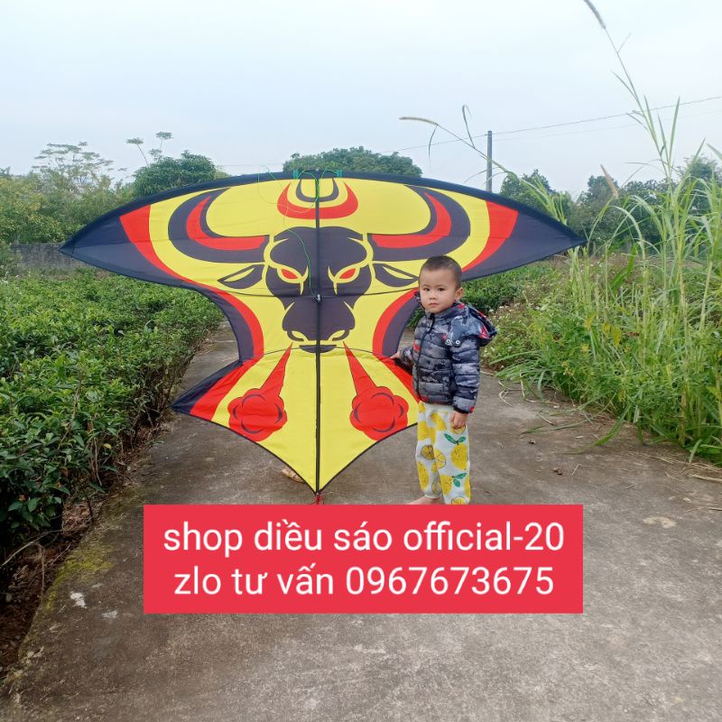 Diều sáo lắp ghép áo luồn khung giá rẻ