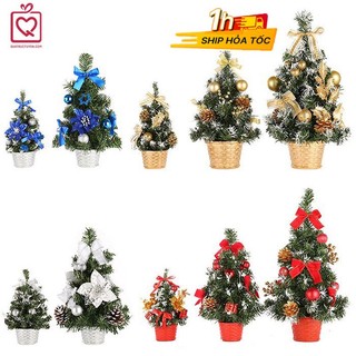 Cây thông giáng sinh mini để bàn trang trí Noel kèm phụ kiện 20-40cm