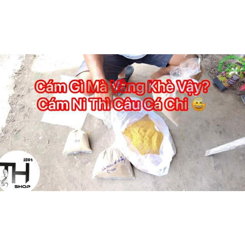 Bài cám Vàng khè câu cá Chép, trắm, trôi to
