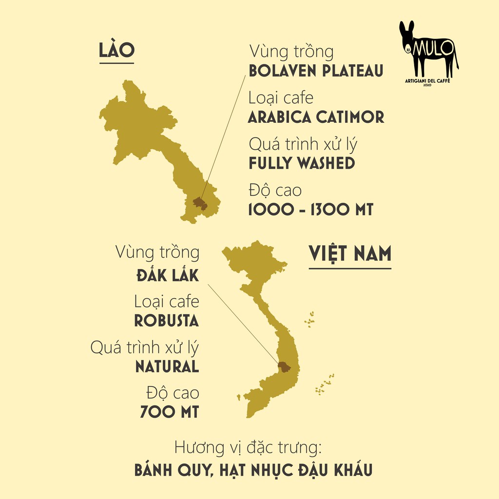 Cà phê viên nén Capsule TENACE 10 viên/hộp - Cà Phê MULO