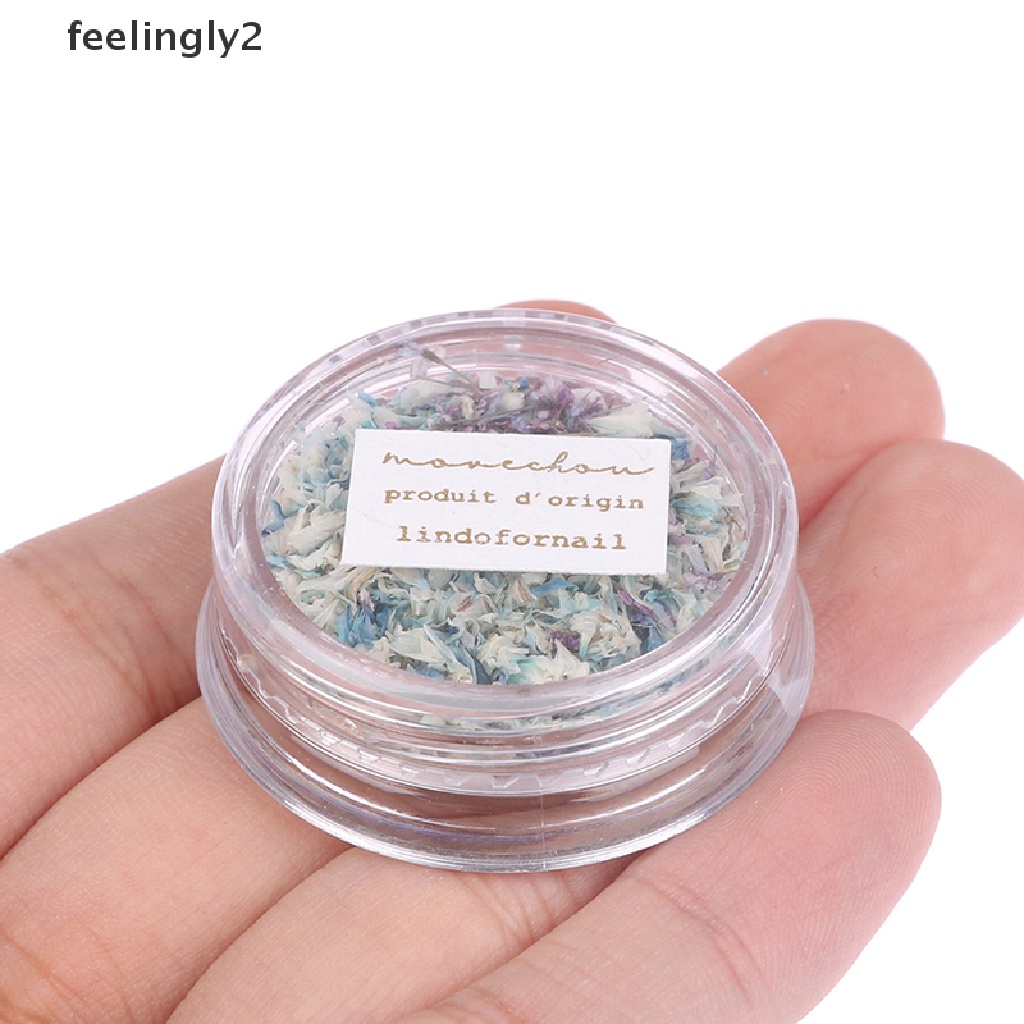 [Hàng Có Sẵn] Hộp Hoa Khô 3D Trang Trí Móng Tay Nghệ Thuật Tinh Tế DIY Tinh Tế