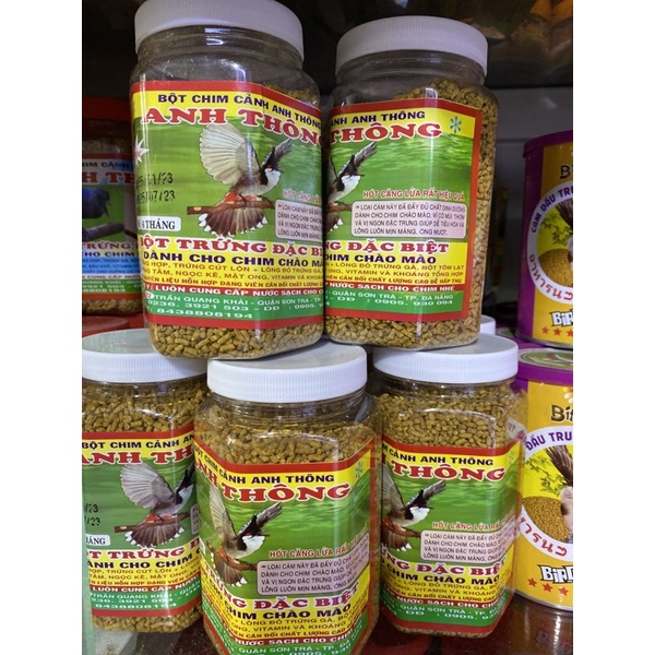 Cám Chào Mào Anh Thông