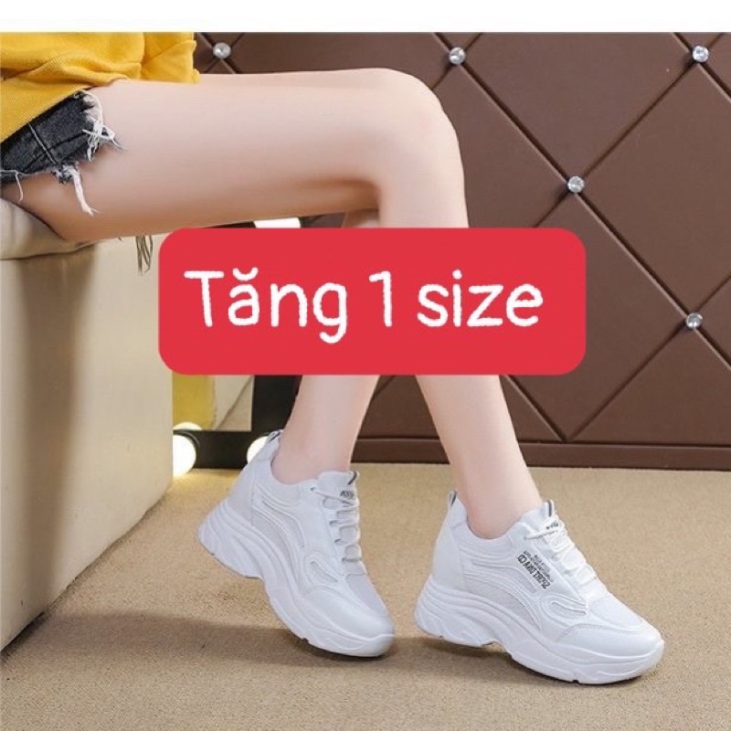 Giày thể thao nữ độn đế 7p phối lưới đế cao ôm gọn chân đi học đi làm đi chơi, Lisa M83