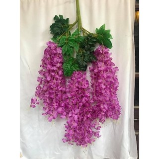 Combo 200 Cành Hoa Tử Đằng Nhiều Màu Sắc