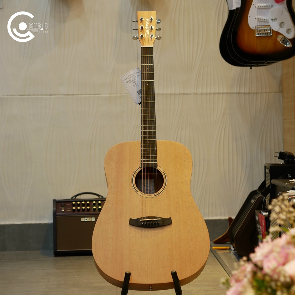Đàn Acoustic Guitar TANGLEWOOD TWR2-D