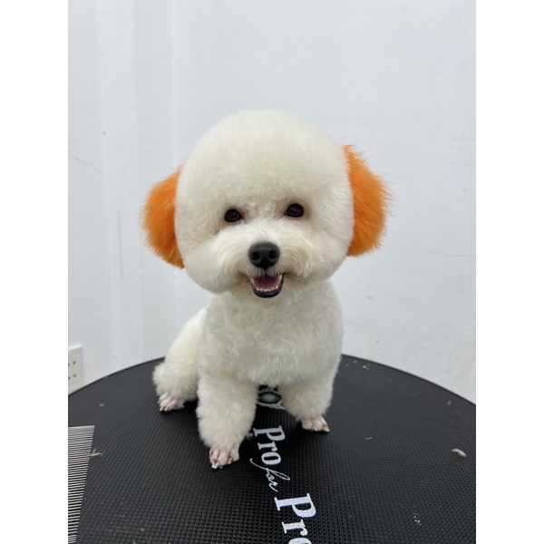 Màu nhuộm thú cưng Blooklyn-ChuChu Pet