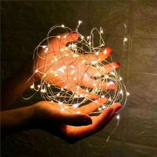 Đèn Led  đom đóm  dài 1m-2m .
