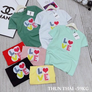 Áo thun thái cao cấp form vừa 40-60ki