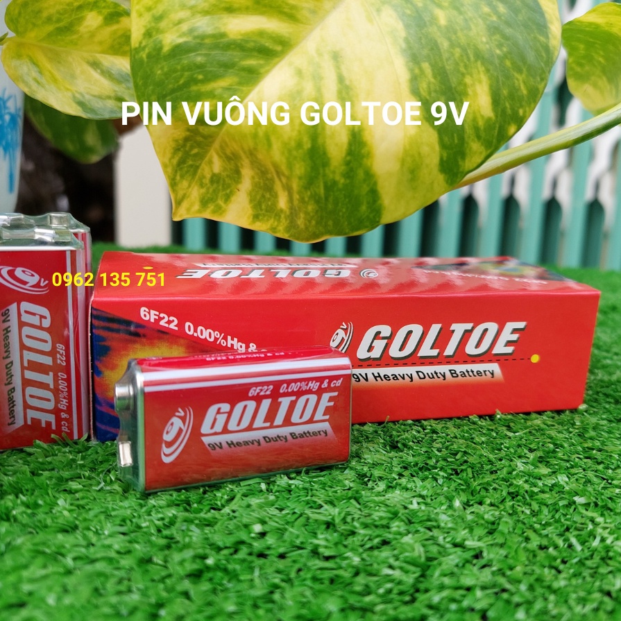 Pin 9V GOLTOE , Camelion giá sỉ