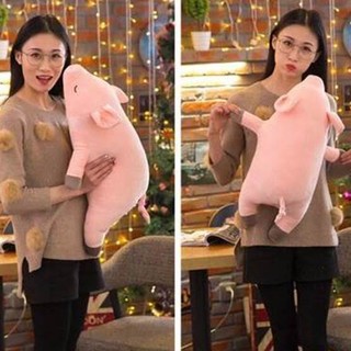 GỐI ÔM HEO LƯỜI 50CM