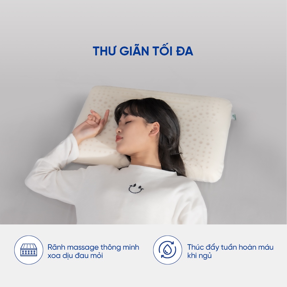 Gối cao su thiên nhiên Gummi Evora 60x40x9cm thiết kế rãnh massage độc đáo thư giãn tối đa hàng chính hãng Vua Nệm