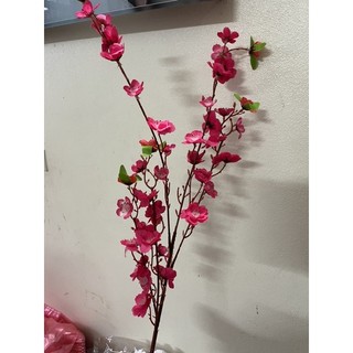 hoa a đào rẻ thanh lý