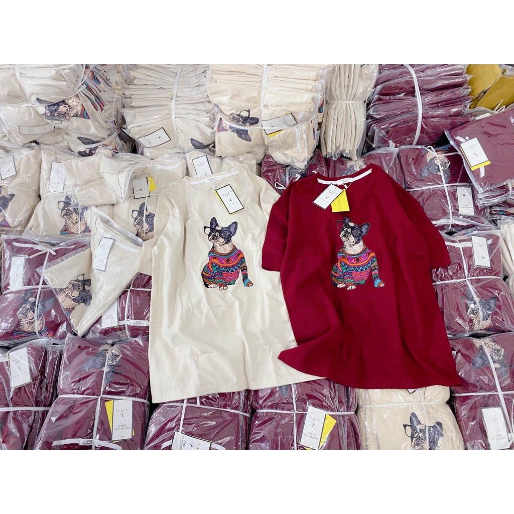 ✨BÁN SỈ✨Áo phông cún dáng rộng 2 màu đỏ, be