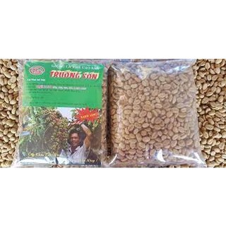 1kg Hạt Giống Cà Phê Xanh Lùn coconut_toroto_dl