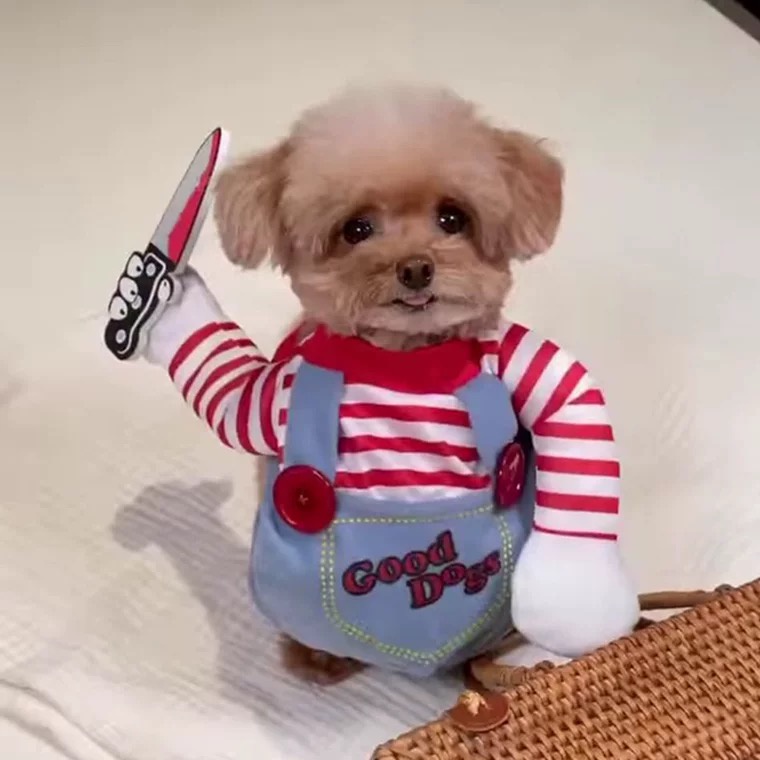 Elsabell. Búp Bê Ngộ Nghĩnh Chó Trang Phục Màu Sắc Tươi Sáng Mềm Mại Thoải Mái Hóa Cho Giáng Sinh Halloween M