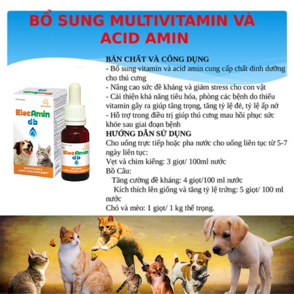 Dung Dịch Cung Cấp Vitamin - Tăng Đề Kháng, Ăn Ngon, Biếng Ăn Cho Chó, Mèo - 20ml