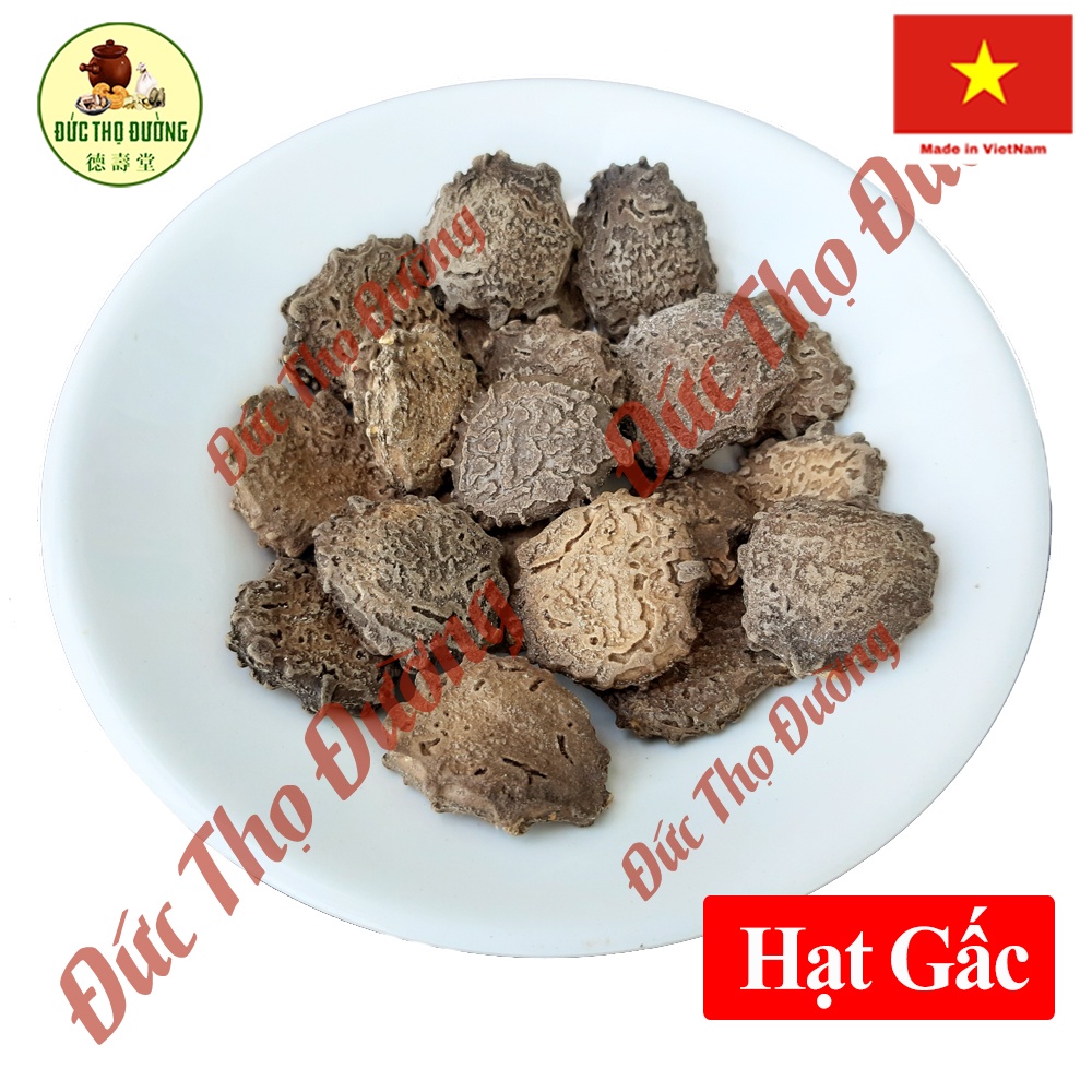Hạt Gấc Khô - còn nguyên hạt loại tốt đẹp - Hạt To có nhân Không Lép