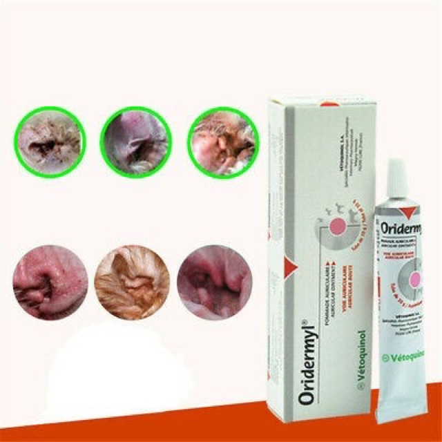 ORIDERMYL Dung dịch vệ sinh tai, viêm tai, hôi tai, rận tai cho chó mèo 10g