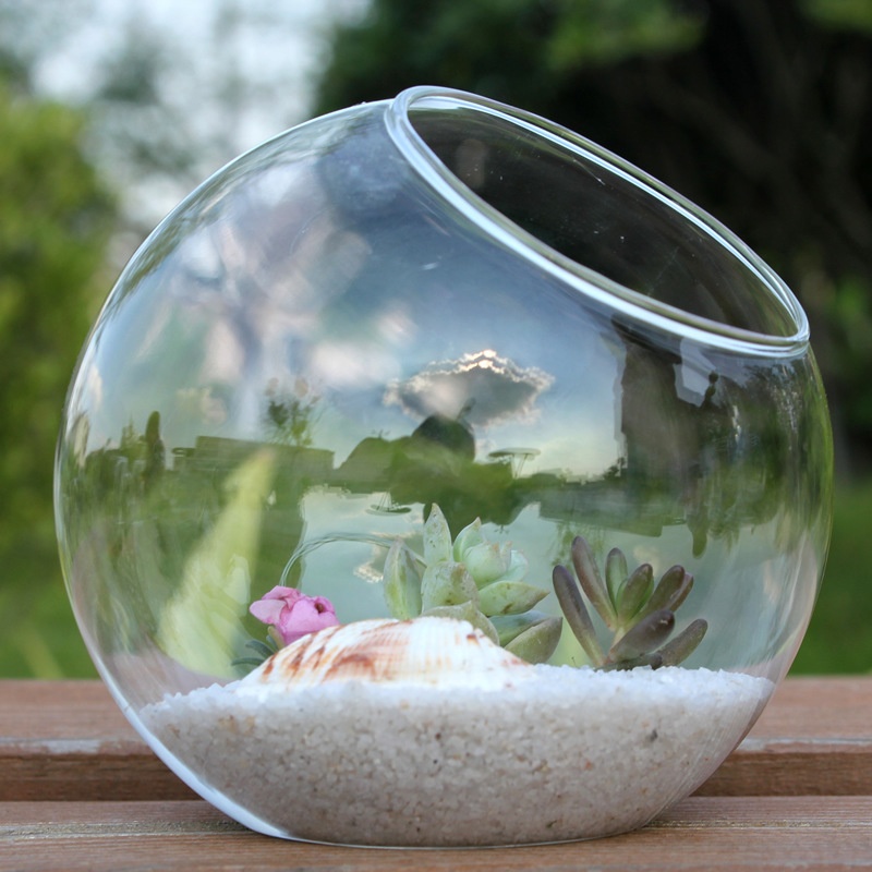 Chậu Kính Trồng Cây Mọng Nước 12cm