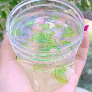 Leaf Water Slime 220ml - Slime Nước Làm Từ Keo Cao Cấp Không Màu , Không Mùi