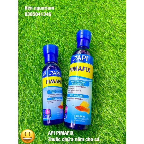 API Pimafix - Thần dược phòng ngừa và điều trị các bệnh ở cá cảnh