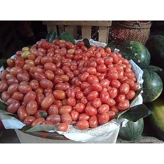 Cây nhót ngọt siêu trái(Giống Cây Siêu Tốt Chuẩn F1)